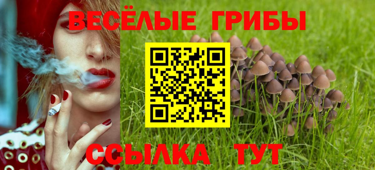 Псилоцибиновые грибы ЛСД Новоалександровск